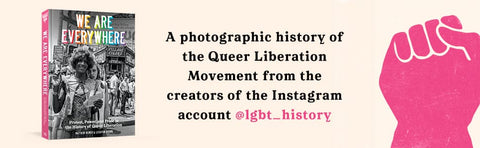 We Are Everywhere: Protest, Power, and Pride in the History of Queer Liberation by Matthew Riemer, Leighton Brownventu