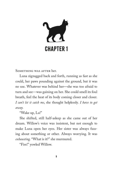 Renegades #1: The Magic Awakens by Erin Hunter
