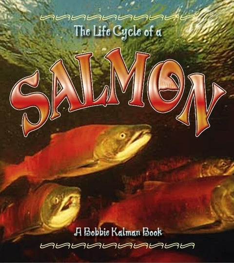 The Life Cycle of a Salmon by Bobbie Kalman