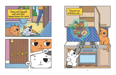 Cat & Cat Adventures #1: The Quest for Snacks: A Graphic Novel by Susie Yi