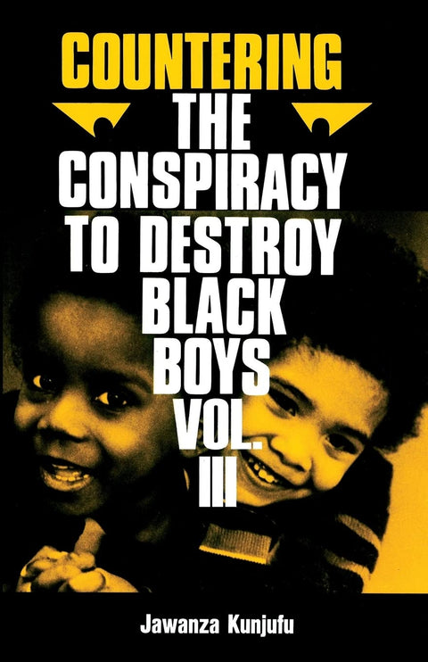 Countering the Conspiracy to Destroy Black Boys, Vol. 3 by Jawanza Kunjufu