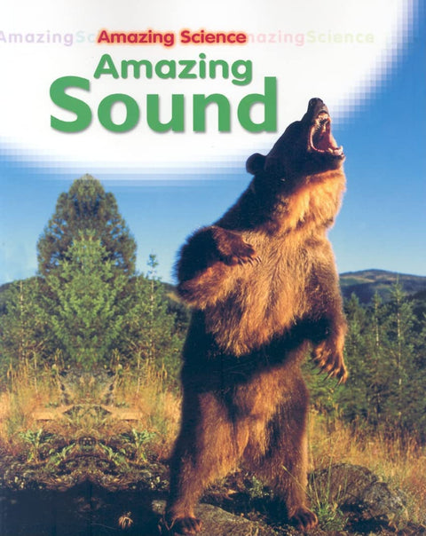 Amazing Sound by Sally Hewitt