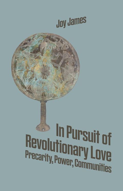 In Pursuit of Revolutionary Love: Precarity, Power, Communities by Joy James