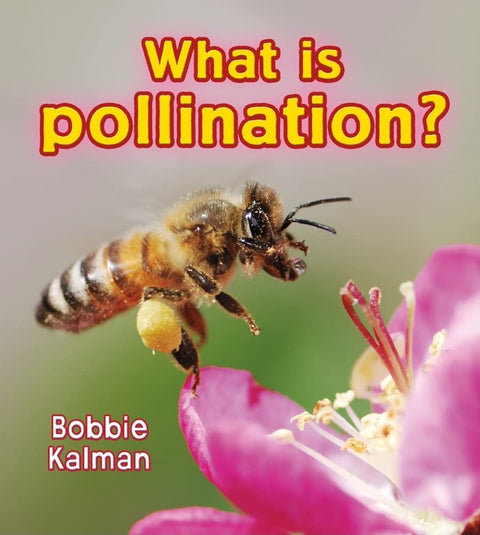 What is Pollination? (Big Science Ideas) by Bobbie Kalman