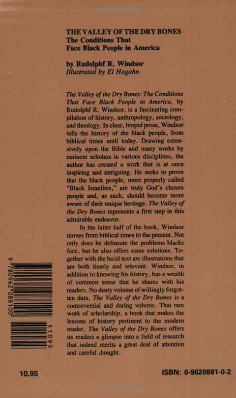 The Valley of the Dry Bones: The Conditions That Face Black People in America Today by Rudolphf R. Windsor