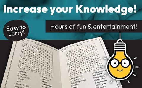 Fantastic Word Search: With 300 Puzzles (Brain Busters)