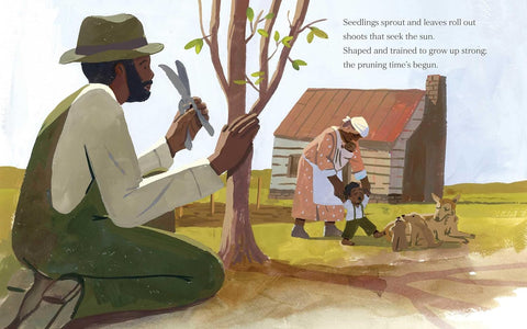 Where They Gather by Teresa Rodrigues, Jamiel Law (Illustrator)