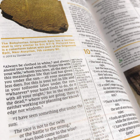 NIV Study Bible, Fully Revised Edition, Personal Size, Red Letter, Comfort Print