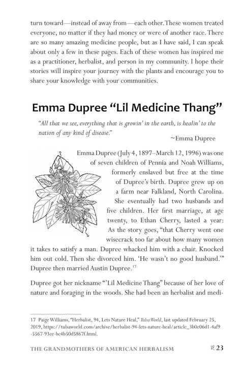 African American Herbalism: A Practical Guide to Healing Plants and Folk Traditions by Lucretia VanDyke