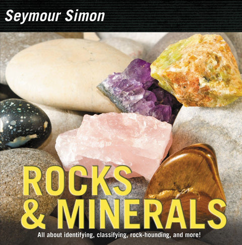 Rocks  & Minerals by Seymour Simon