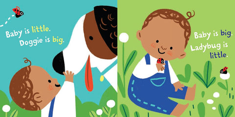 Indestructibles: Big and Little: A Book of Opposites by Amy Pixton, Carolina Buzio (Illustrator)