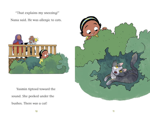 Yasmin the Vet by Saadia Faruqi, Hatem Aly (Illustrator)