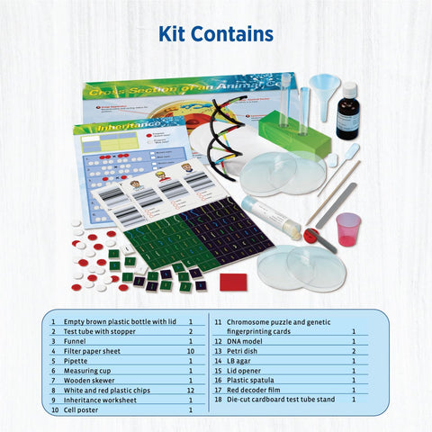 Genetics & DNA Lab Science Kit