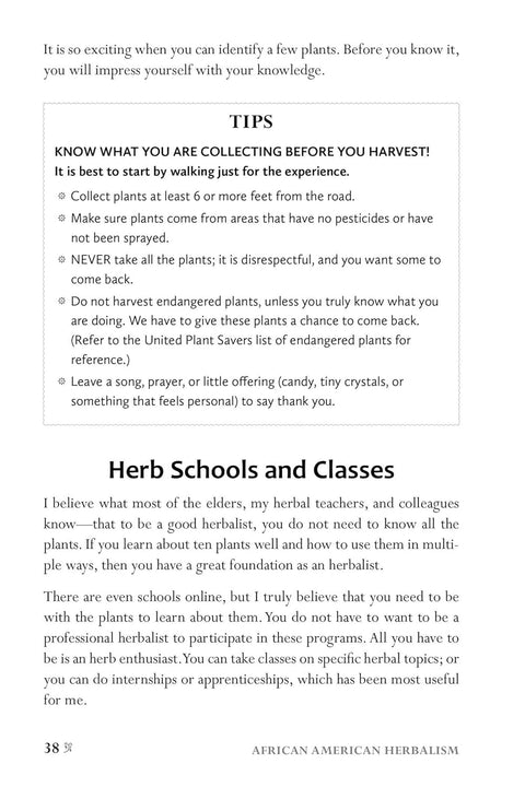 African American Herbalism: A Practical Guide to Healing Plants and Folk Traditions by Lucretia VanDyke