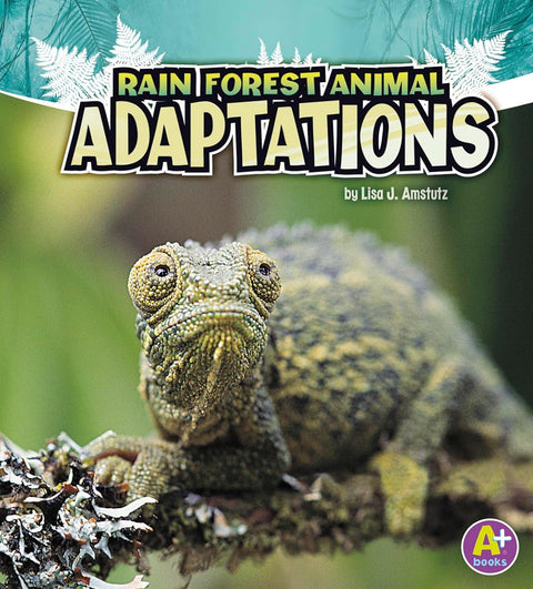 Rain Forest Animal Adaptations (Part of: Amazing Animal Adaptations- 4 books) by Lisa Jo Amstutz