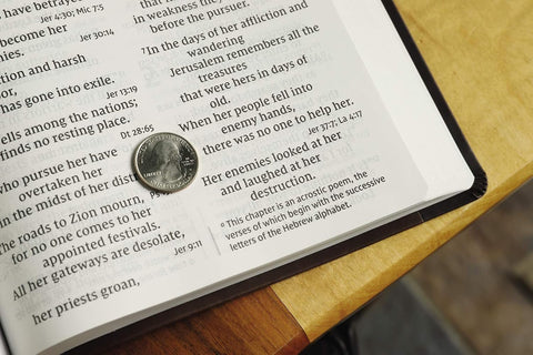 NIV Super Giant Print Reference Bible (Imitation Leather, Brown, Red Letter Edition