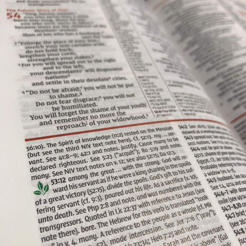 NIV Study Bible, Fully Revised Edition, Personal Size, Red Letter, Comfort Print