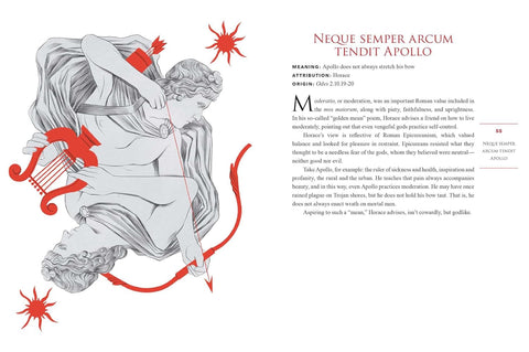 Et Cetera: An Illustrated Guide to Latin Phrases by Maia Lee-Chin (Author), Marta Bertello (Illustrator)