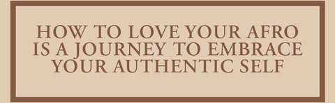 How to Love Your Afro: Your Holistic Natural Hair and Self-Love Guide – from the Host of the Texture Talks Podcast by Paige Lewin