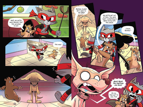 Cat Ninja: The Heart of a Hero by Marcie Colleen, Chad Thomas (Illustrator) (Cat Ninja, 6)