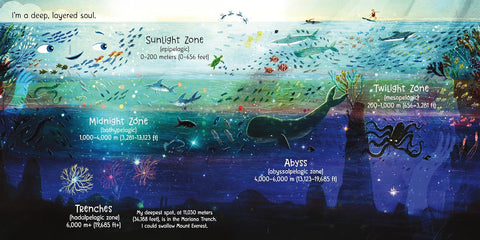 Ocean! Waves for All (Our Universe, 4) by Stacy McAnulty, David Litchfield