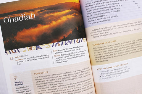 NIV Application Bible, Hardcover, Multi-Cream, Red Letter, Comfort Print