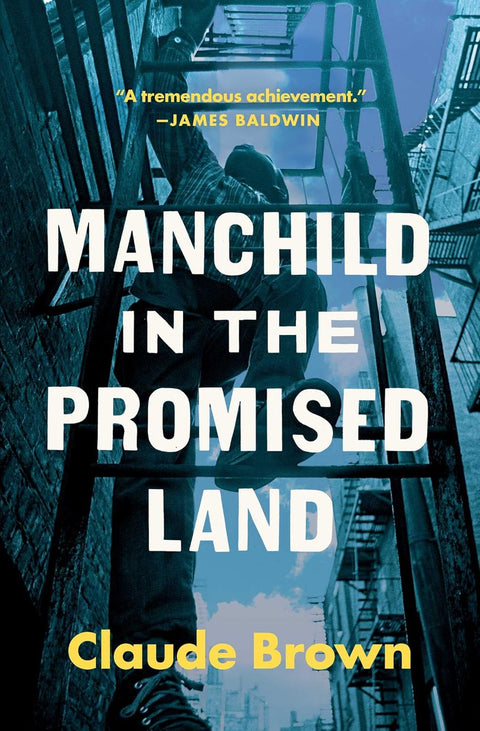 Manchild in the Promised Land by Claude Brown