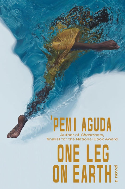 *PRE-ORDER (5/5/26 RELEASE)* One Leg On Earth by ‘Pemi Aguda