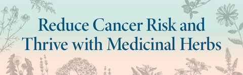 Holistic Cancer Care: An Herbal Approach to Reducing Cancer Risk, Helping Patients Thrive During Treatment, and Minimizing Recurrence by Chanchal Cabrera, MSc, FNIMH, RH (ANG)