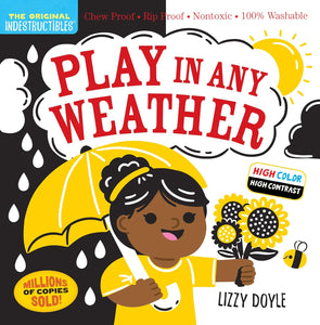 Indestructibles: Play in Any Weather by Amy Pixton (Author), Lizzy Doyle (Illustrator)
