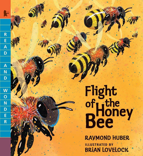 Flight of the Honey Bee (Part of: Read and Wonder- 52 books) by Raymond Huber (Author), Brian Lovelock (Illustrator)