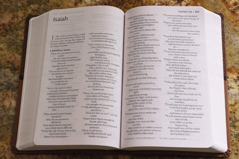 NIV, ReadEasy Bible, Large Print, Leathersoft, Tan, Red Letter