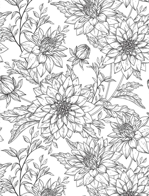 Healing Vibes: Coloring for Calm