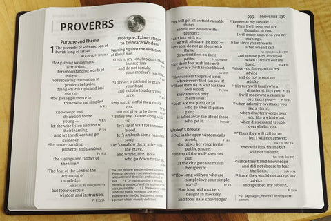 NIV Super Giant Print Reference Bible (Imitation Leather, Brown, Red Letter Edition
