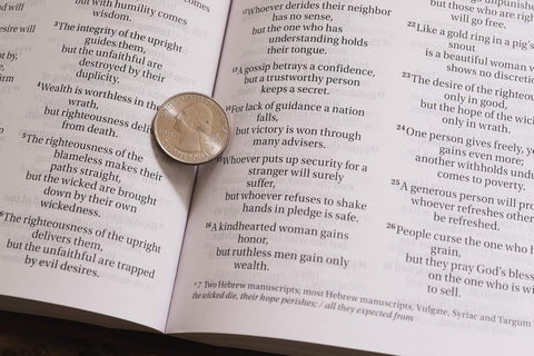 NIV, ReadEasy Bible, Large Print, Leathersoft, Tan, Red Letter