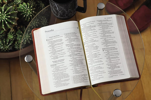 NIV, Men's Devotional Bible (By Men, for Men), Leathersoft, Brown, Comfort Print