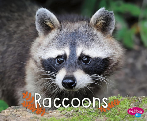 Raccoons (Woodland Wildlife) by G.G. Lake