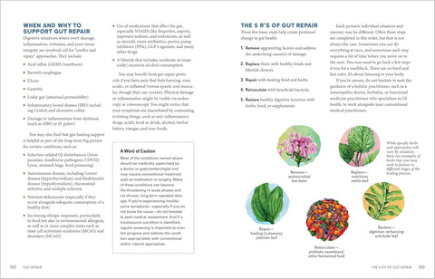 Herbal Gut Health: Natural Therapies to Promote Healthy Digestion, Boost Your Microbiome, and Support Gut Repair by Maria Noel Groves