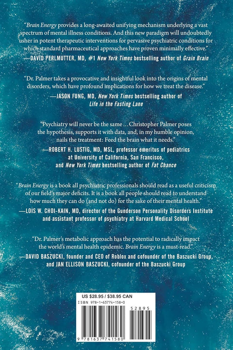 Brain Energy: A Revolutionary Breakthrough in Understanding Mental Health by Christopher M. Palmer