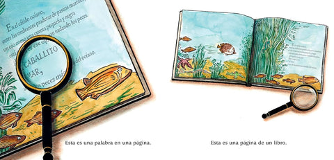 Este es un cuento (Una celebración de los libros, la imaginación y la experiencia en la biblioteca para niños de 4 a 8 años) by John Schu, Lauren Castillo (Illustrator)