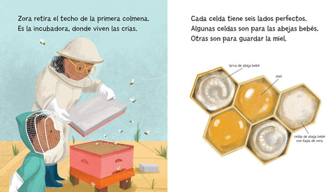Lola conoce las abejas (Spanish Edition) by Anna McQuinn, Rosalind Beardshaw (Illustrator), Aurora Humaran (Translator)