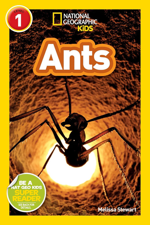 Ants (Part of: National Geographic Readers Level 1- 47 books) by Melissa Stewart