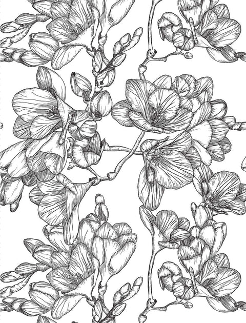 Healing Vibes: Coloring for Calm