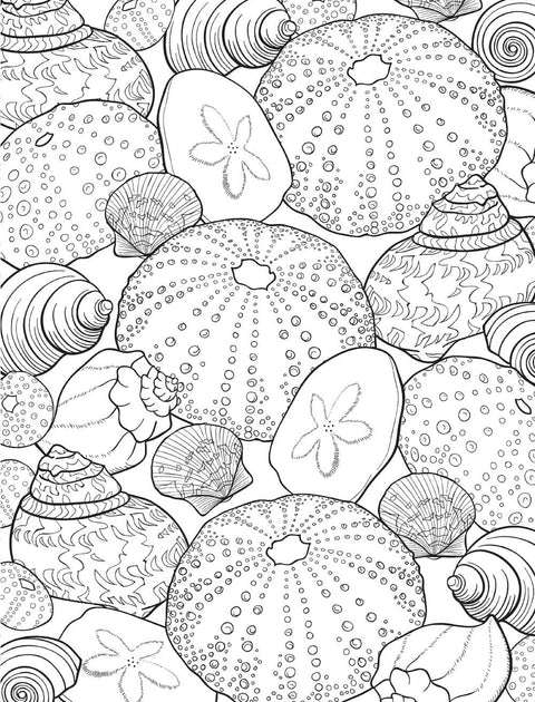 Healing Vibes: Coloring for Calm