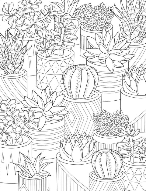 Healing Vibes: Coloring for Calm