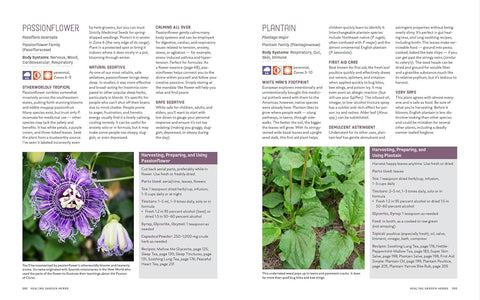 Grow Your Own Herbal Remedies: How to Create a Customized Herb Garden to Support Your Health & Well-Being by Maria Noel Groves