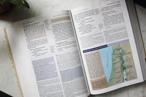 NIV Application Bible, Hardcover, Multi-Cream, Red Letter, Comfort Print