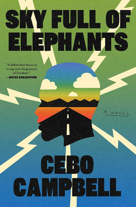 Sky Full of Elephants: A Novel by Cebo Campbell