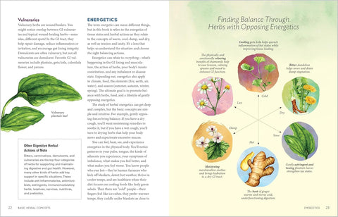 Herbal Gut Health: Natural Therapies to Promote Healthy Digestion, Boost Your Microbiome, and Support Gut Repair by Maria Noel Groves