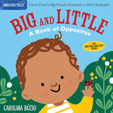 Indestructibles: Big and Little: A Book of Opposites by Amy Pixton, Carolina Buzio (Illustrator)